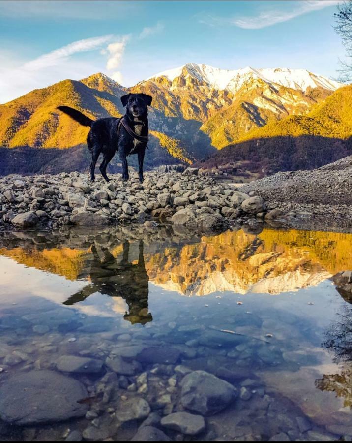 Ledro Lake Suite "Pur" Mezzolago Exteriér fotografie